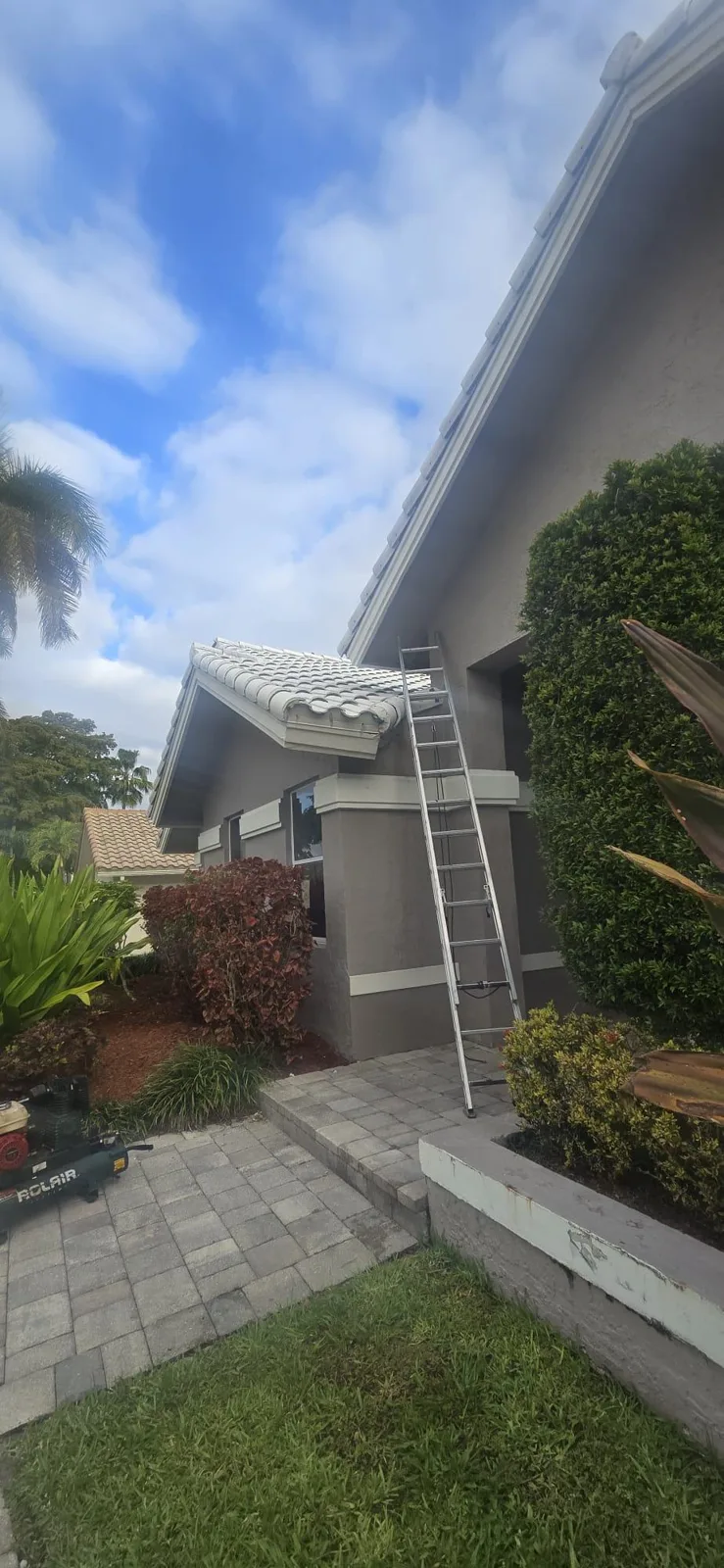 Ladder leaning against the house facade to access the roof