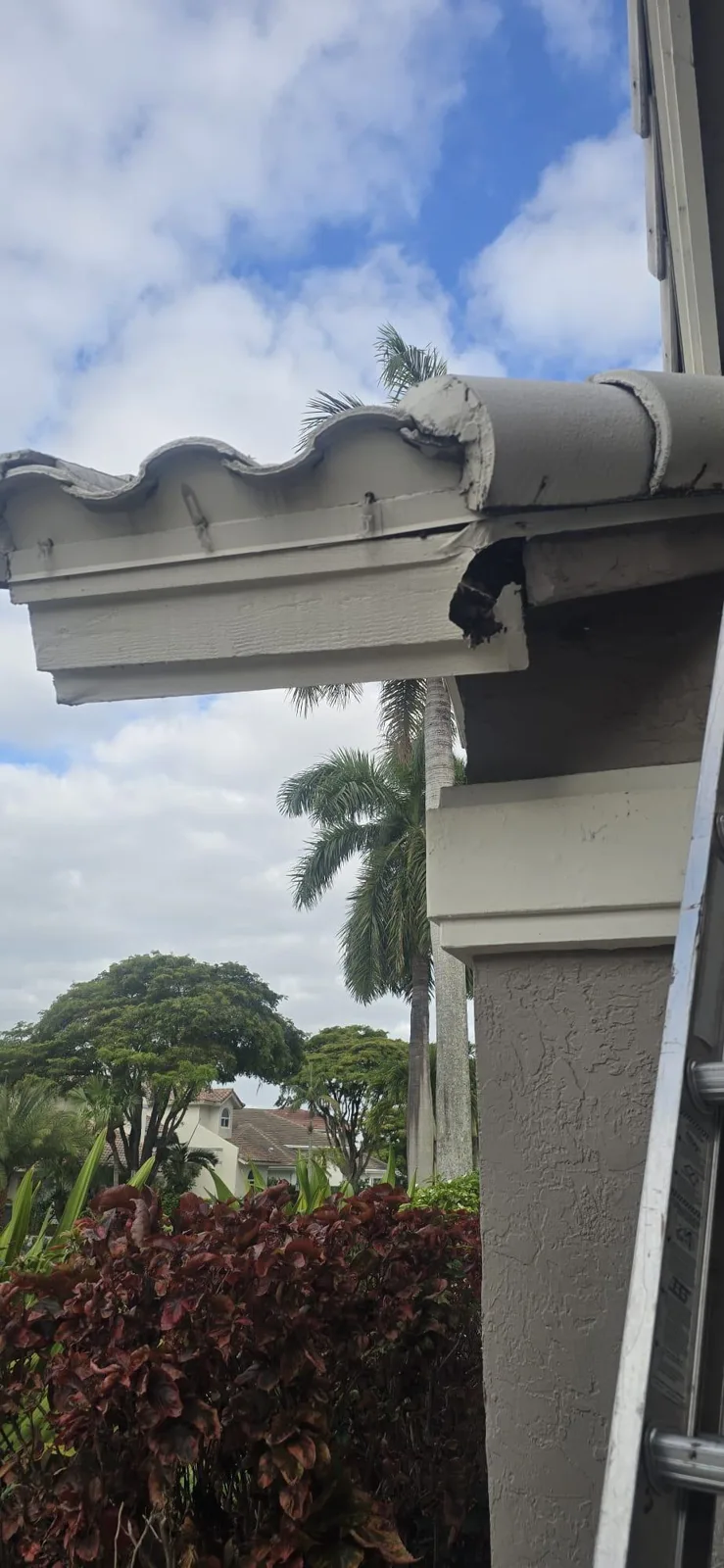 Detail of the tile roof edge and the inspected gutter