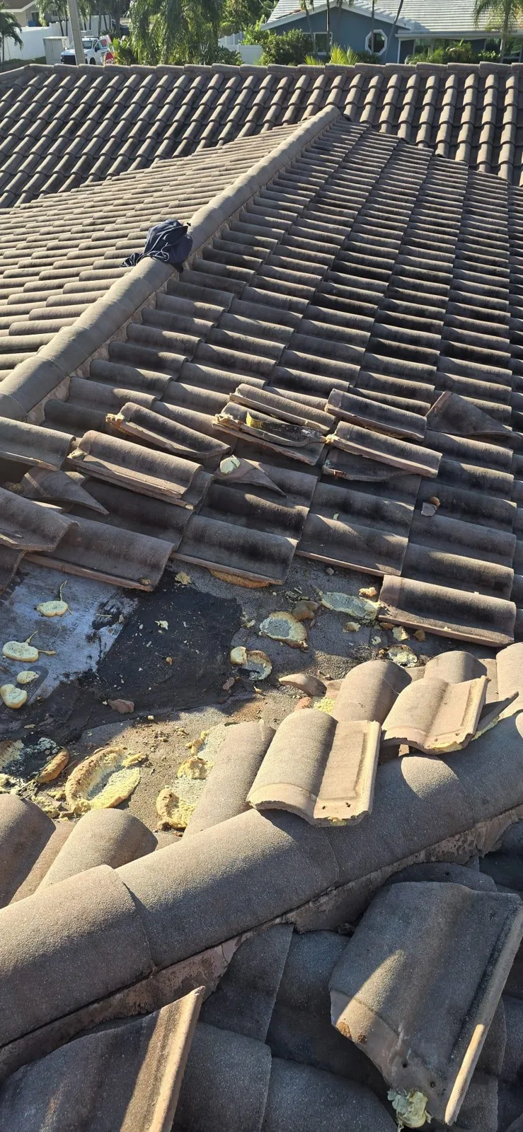Water leak accumulated on the roof tiles